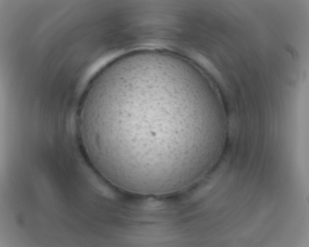 X0000114221412200910231434