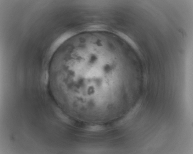 X0000114221413200910231434