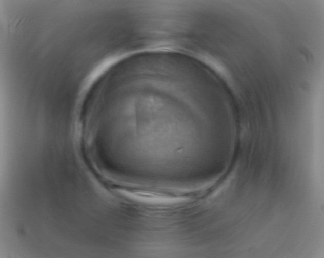 X0000114221414200910231434