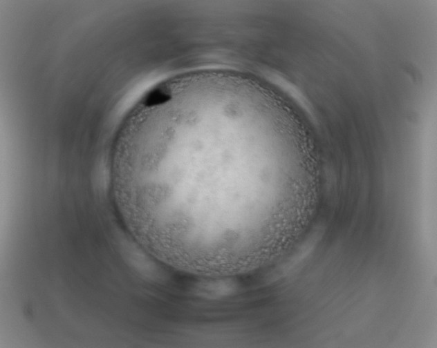 X0000114221415200910231434