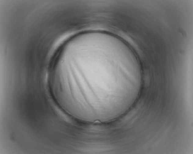 X0000114221416200910231434