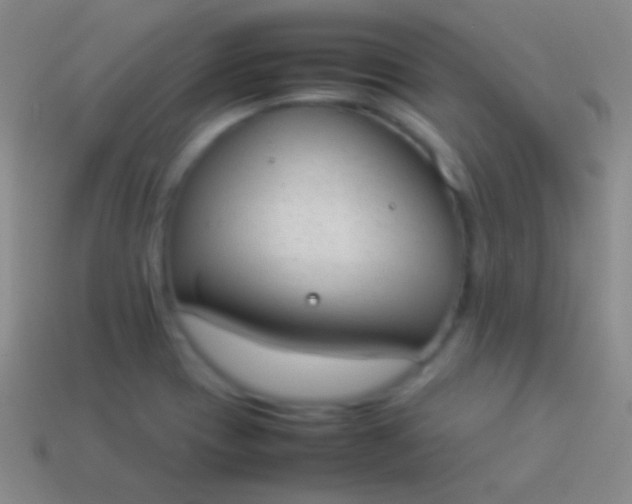 X0000114221417200910231434