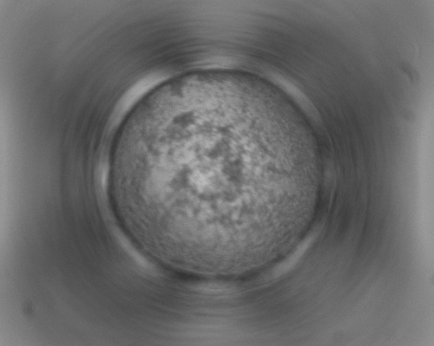 X0000114221418200910231434