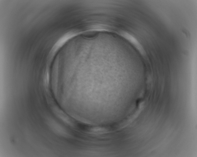 X0000114221419200910231434