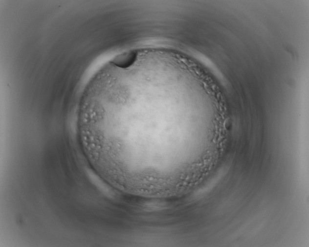 X0000114221421200910231434