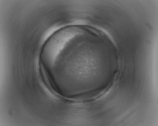 X0000114221422200910231434