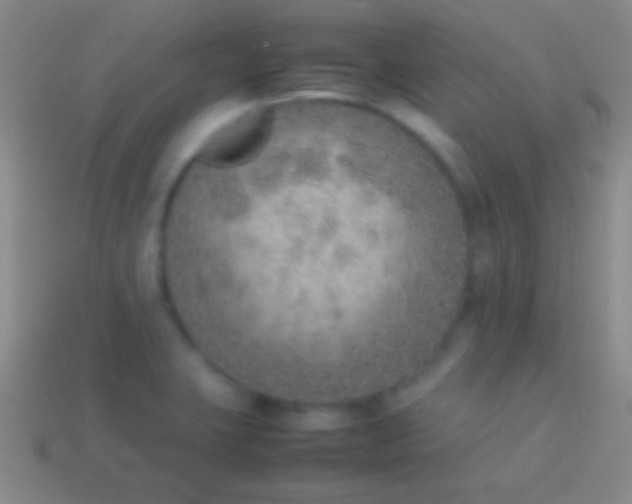 X0000114221423200910231434