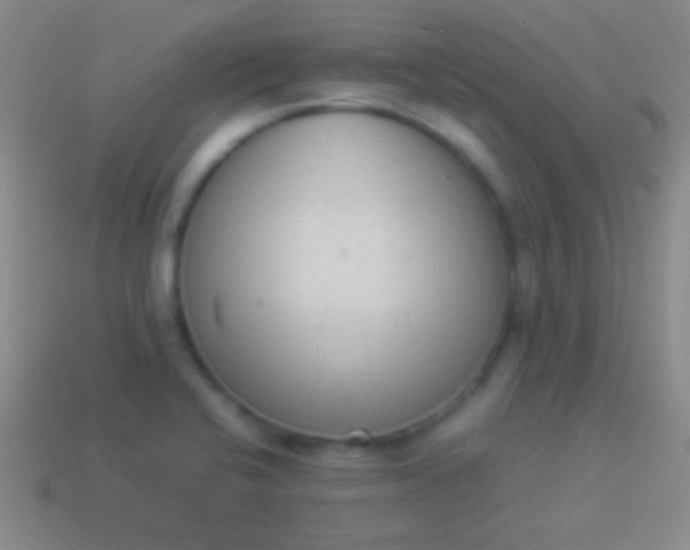 X0000114221424200910231434