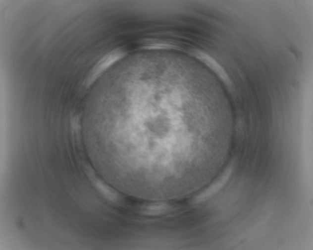 X0000114221425200910231434