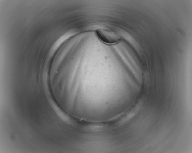 X0000114221426200910231434