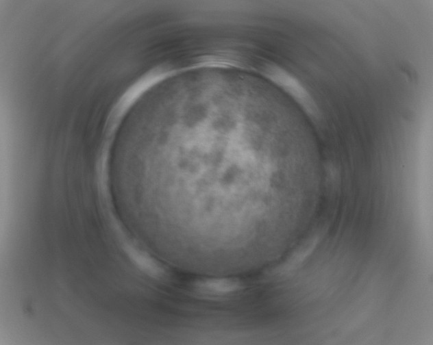 X0000114221427200910231434