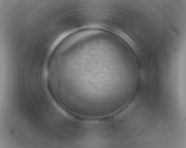 X0000114221428200910231434