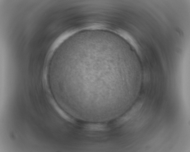 X0000114221429200910231434