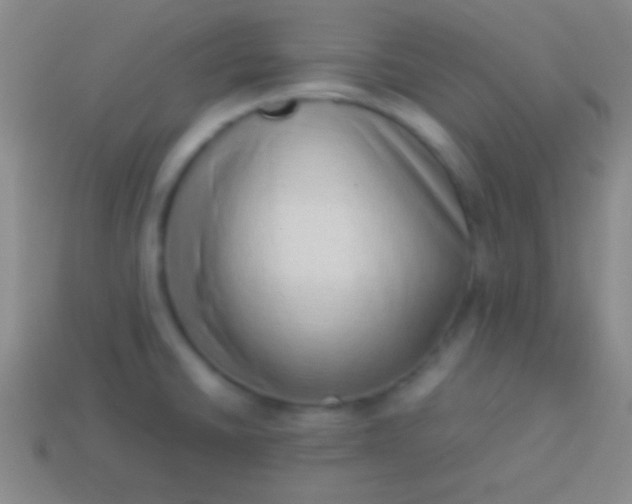 X0000114221430200910231434