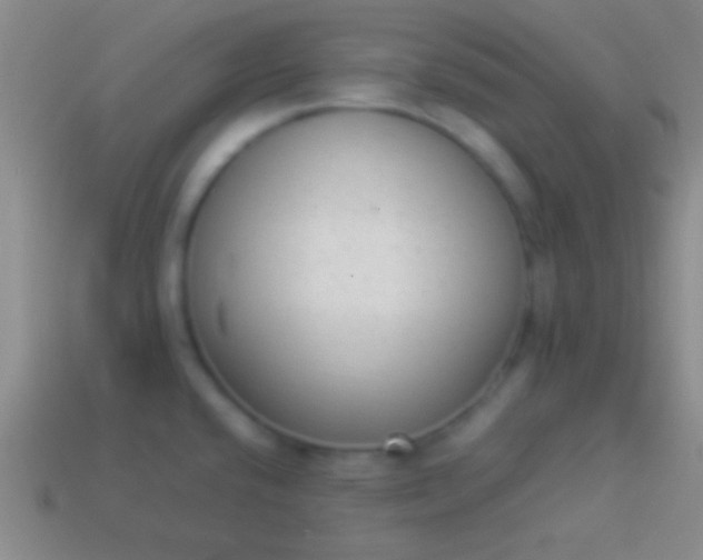 X0000114221432200910231434