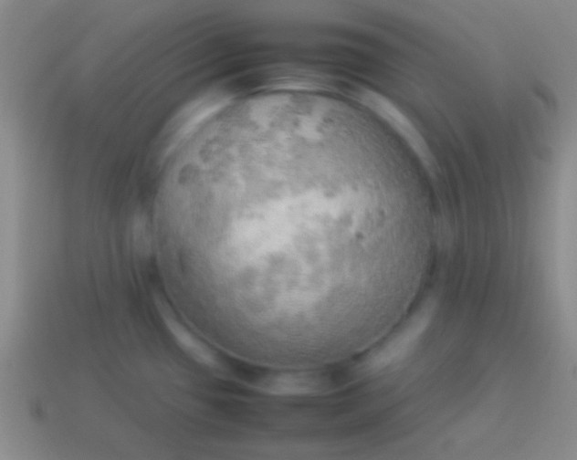 X0000114221433200910231434