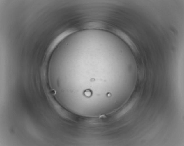 X0000114221434200910231434