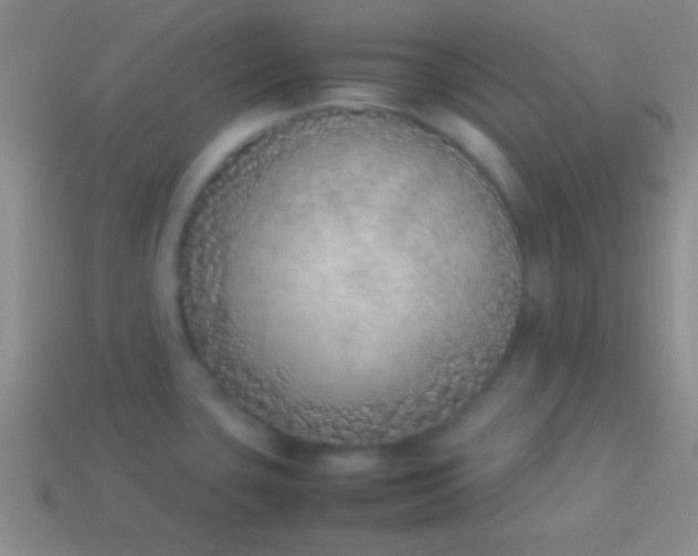 X0000114221435200910231434