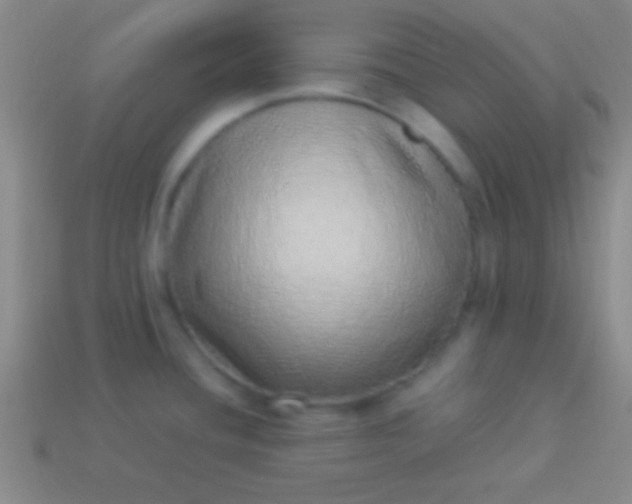 X0000114221436200910231434