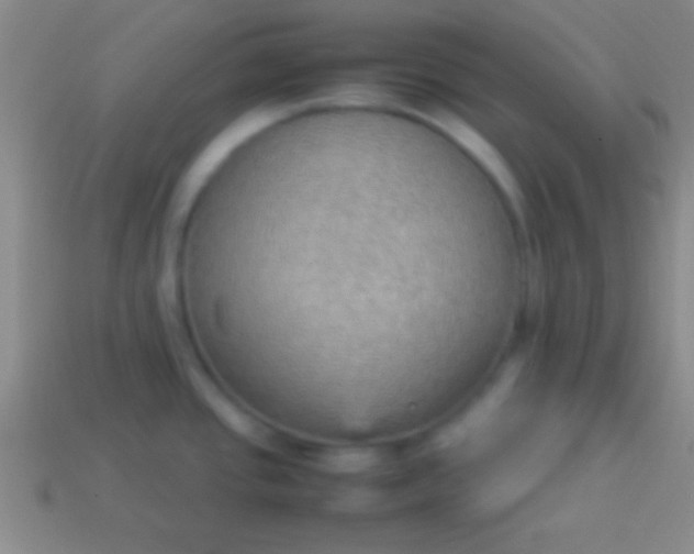 X0000114221437200910231434