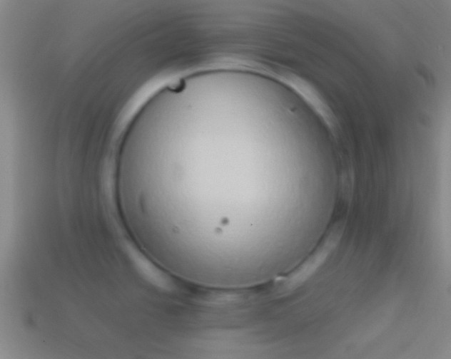 X0000114221438200910231434