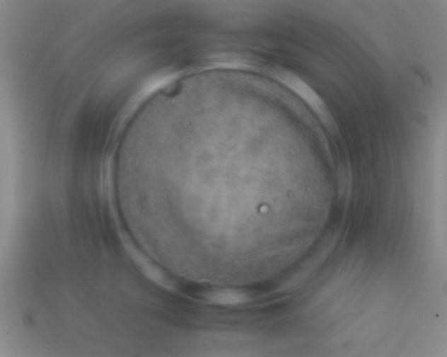 X0000114221439200910231434