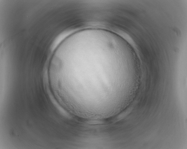 X0000114221440200910231434