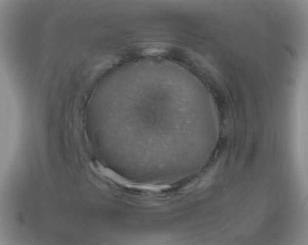 X0000114221441200910231433