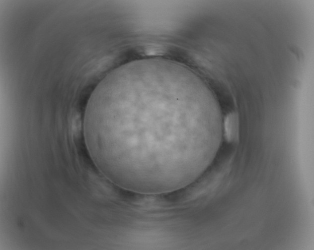 X0000114221443200910231433