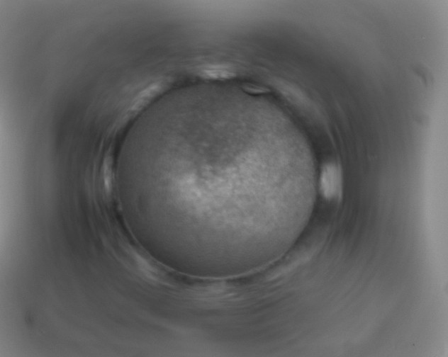 X0000114221444200910231433