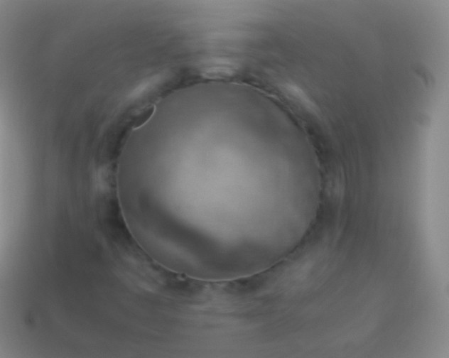 X0000114221445200910231433