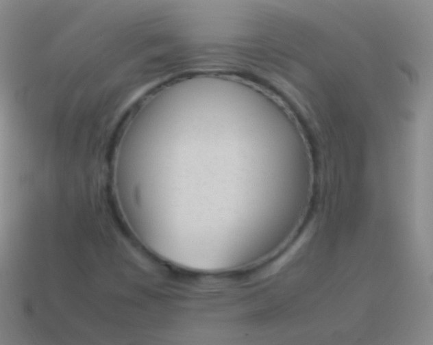 X0000114221449200910231433