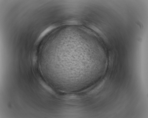 X0000114221450200910231433