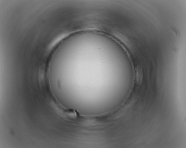 X0000114221452200910231433