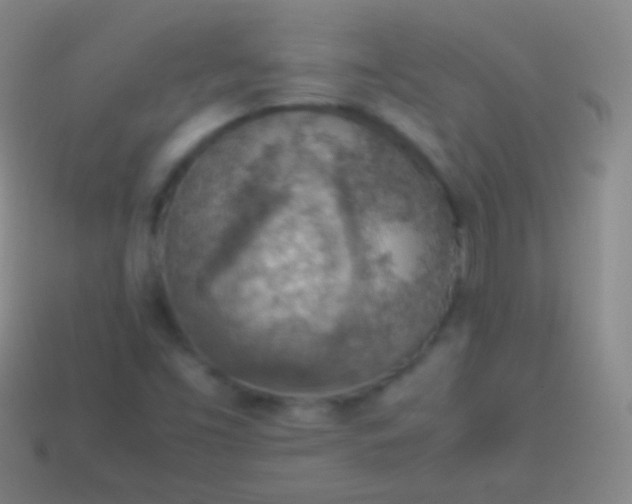 X0000114221453200910231433