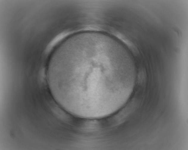 X0000114221454200910231433