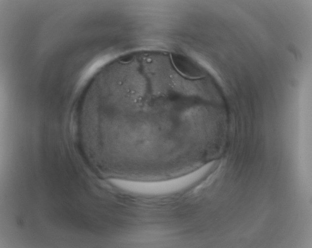 X0000114221455200910231433