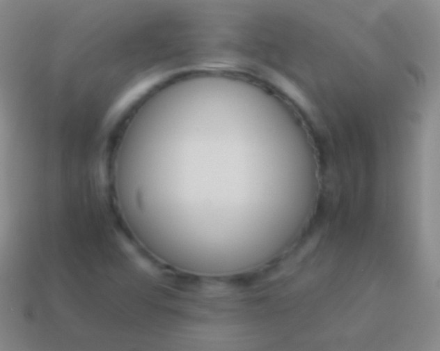 X0000114221456200910231433