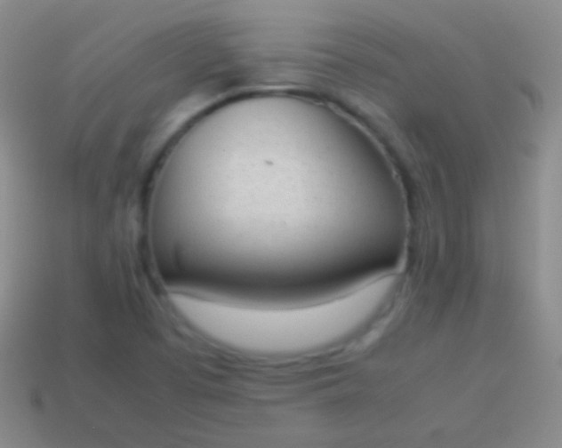 X0000114221457200910231433