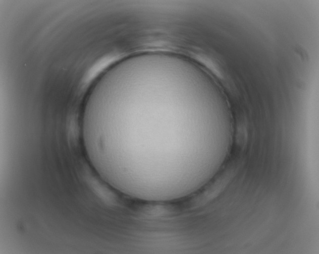 X0000114221458200910231433