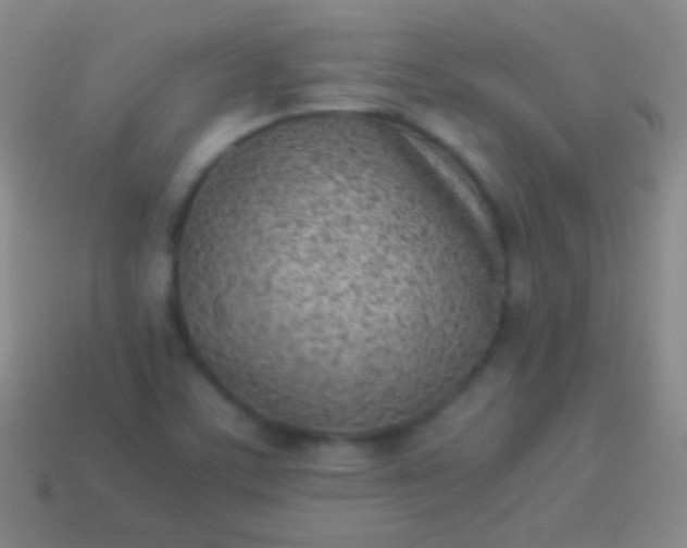 X0000114221459200910231433