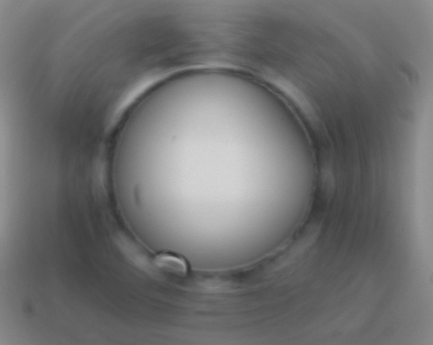 X0000114221460200910231433