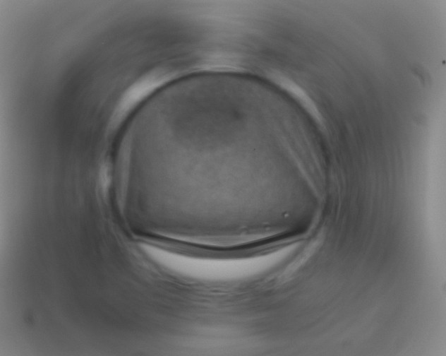 X0000114221461200910231433