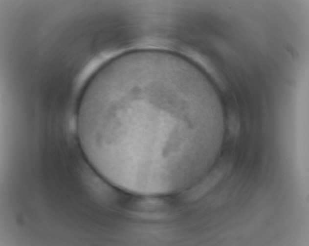 X0000114221462200910231433