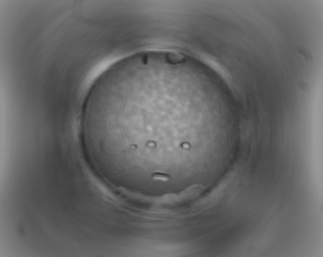 X0000114221463200910231433