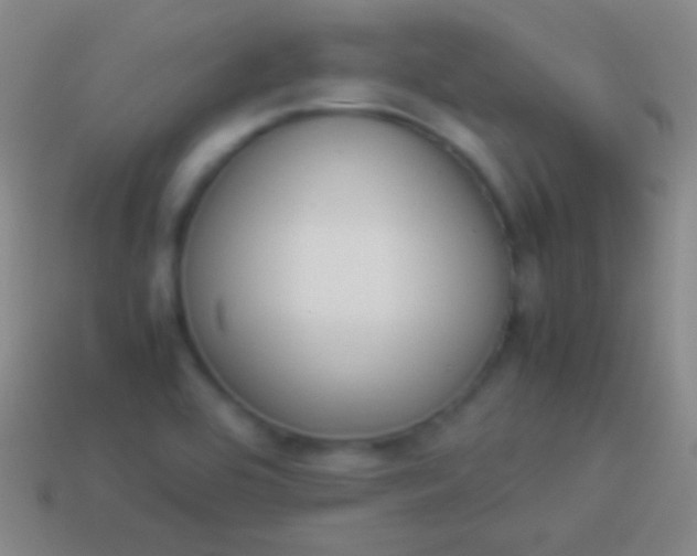 X0000114221464200910231433