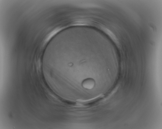 X0000114221465200910231433