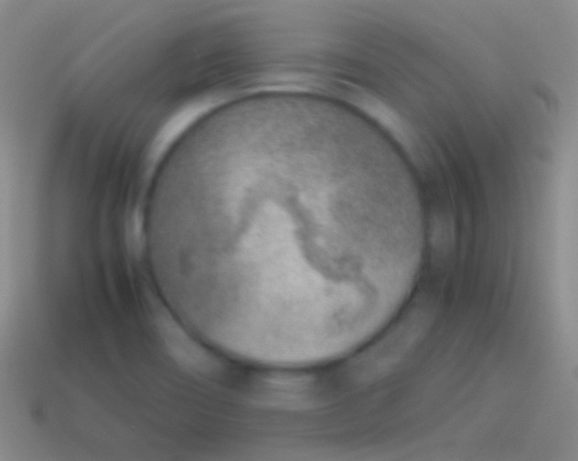 X0000114221466200910231433