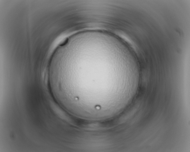 X0000114221467200910231433