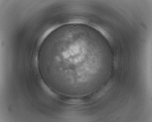 X0000114221468200910231433